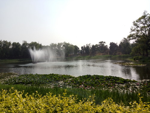 全局闪拍/PI2.0+原画 OPPO R7拍照体验 