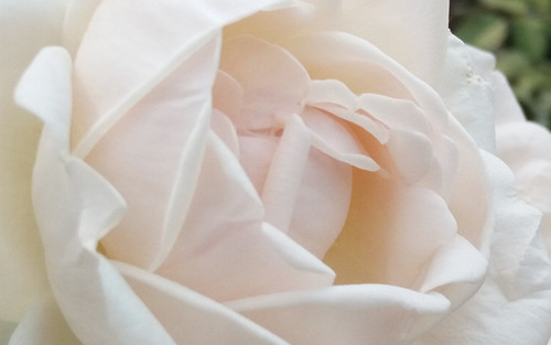 全局闪拍/PI2.0+原画 OPPO R7拍照体验 