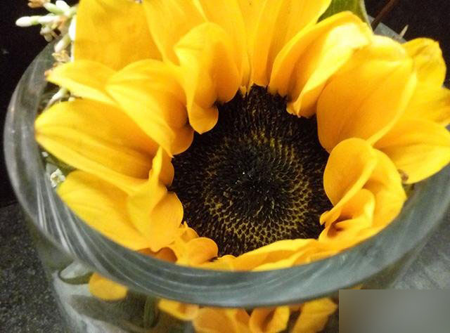 魅蓝Note2使用体验评测