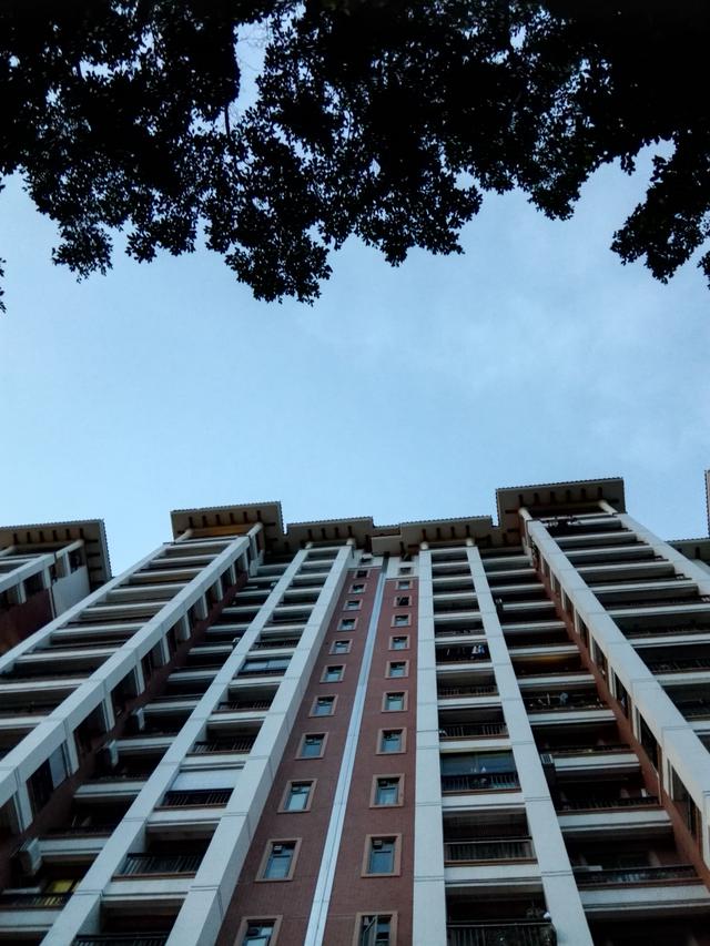 荣耀X2 一部能拍出好照片的平板