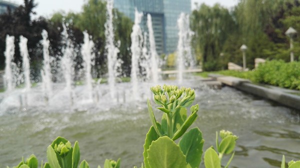 华为P8max评测:不仅仅是大一圈儿的P8第33张图