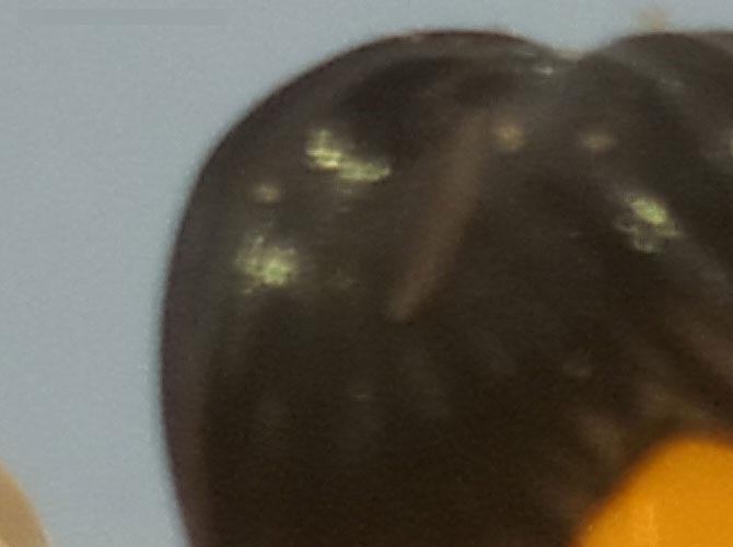 金立E8拍照功能