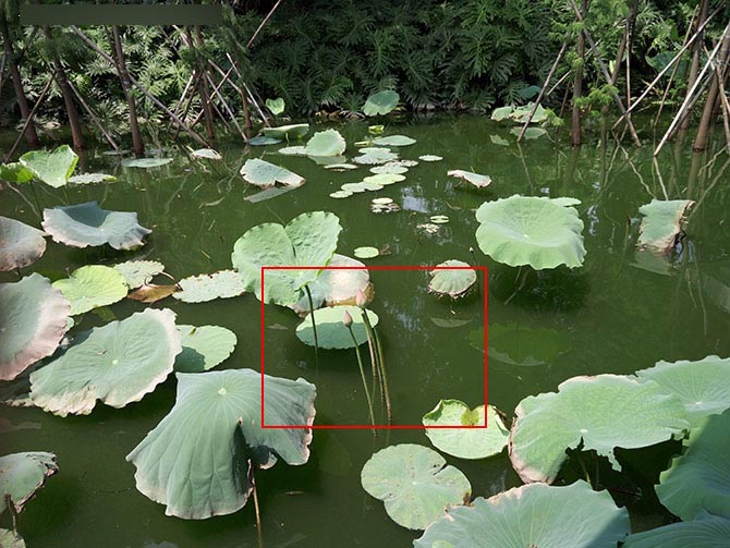 金立E8拍照功能