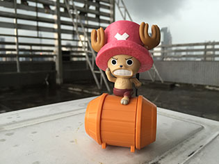 金立E8拍摄对比