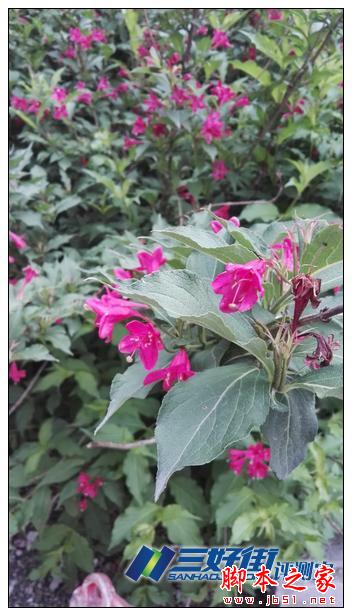 定格精彩 卓然不凡 华为P8手机诚意评测