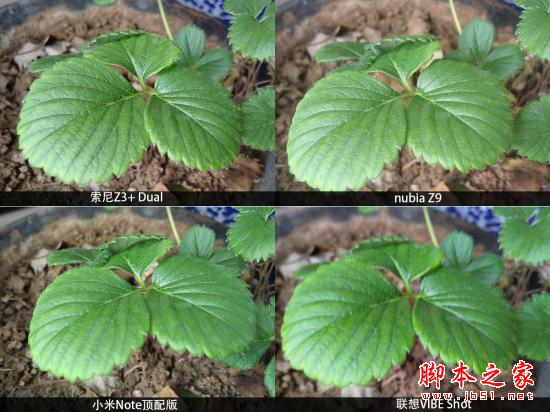 不再是像素之争 五月热门新机拍照横评