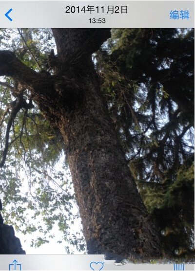 iphone照片怎么旋转 iphone照片旋转方法操作流程图4