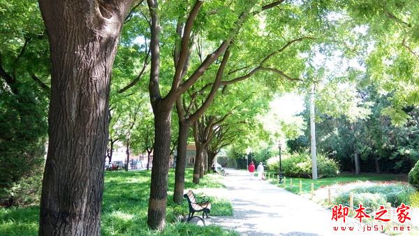 不只是超级续航智能机 金立M5拍照体验 