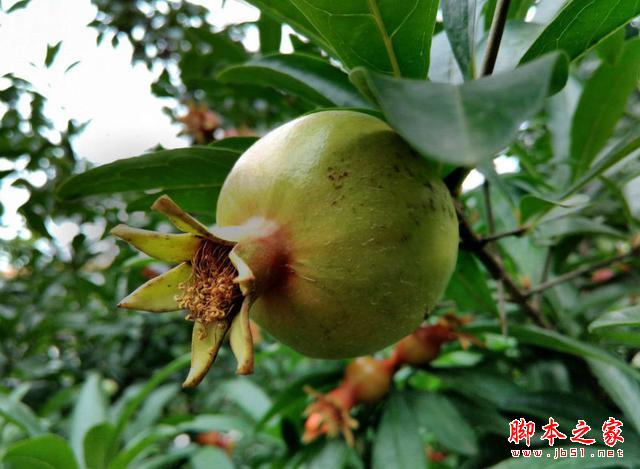 4G全网通，决战性价比！TCL么么哒3S体验