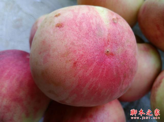 4G全网通，决战性价比！TCL么么哒3S体验