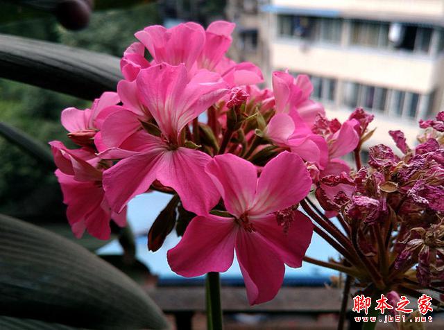 4G全网通，决战性价比！TCL么么哒3S体验