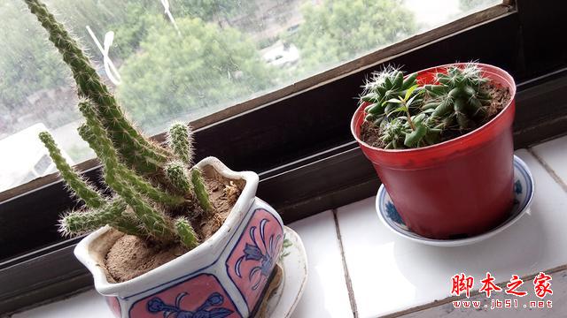 为电信用户而生撕逼魅蓝、红米2，699元中兴小鲜2简评