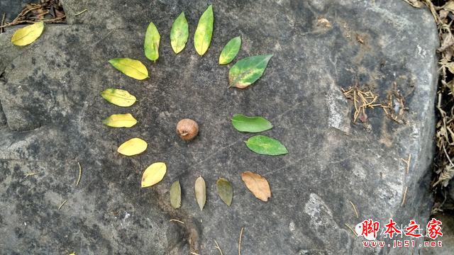 小米4i----小米重新定义了中端手机