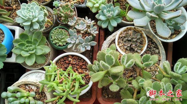 小米4i----小米重新定义了中端手机