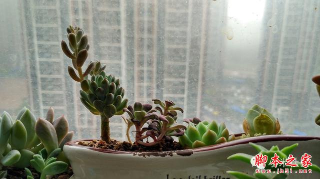 小米4i----小米重新定义了中端手机