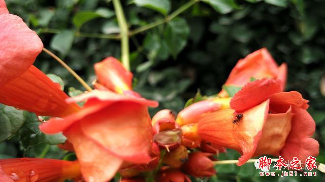 小米4i----小米重新定义了中端手机