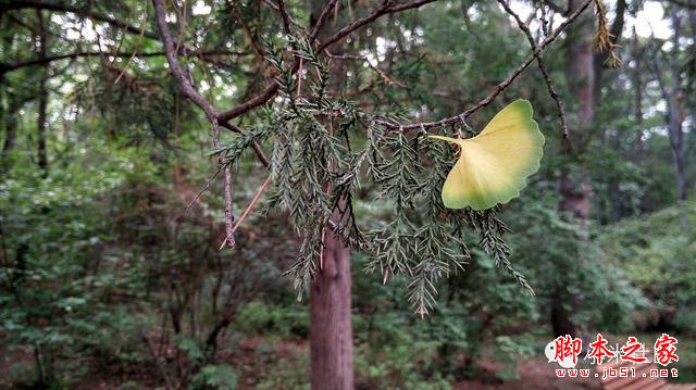 小米4i----小米重新定义了中端手机