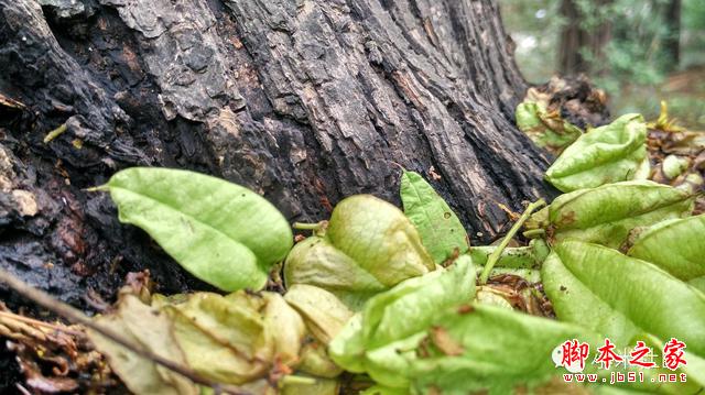 小米4i----小米重新定义了中端手机