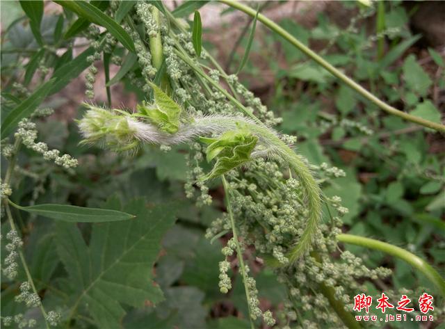 平价标杆：魅蓝Note2开箱体验，将手感与体验进行到底