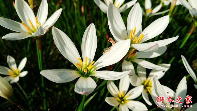 最好玩的拍照手机，ZenFone2+Zenflash拍照体验