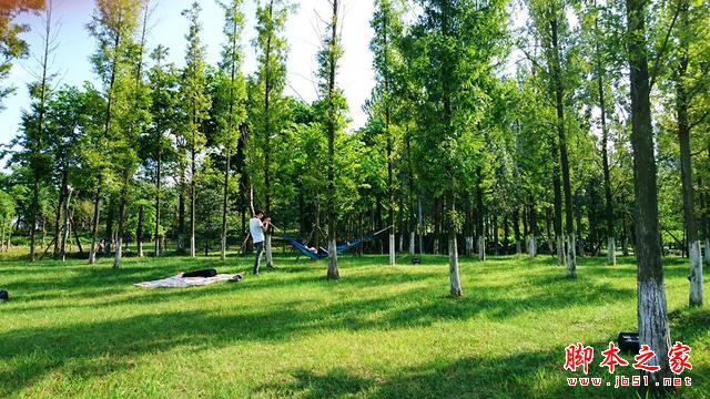 最好玩的拍照手机，ZenFone2+Zenflash拍照体验