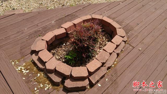 LG G4照相有多强？实拍样张过程告诉你