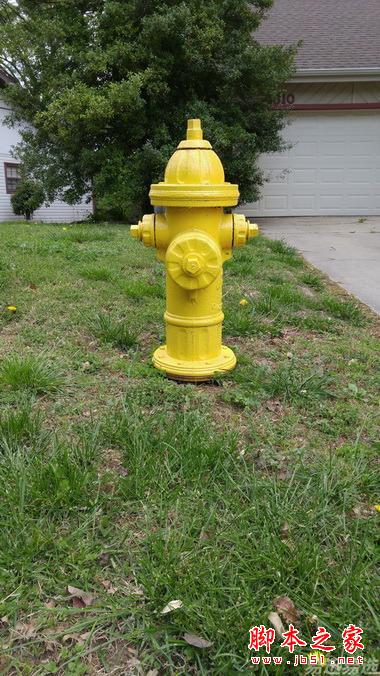 LG G4照相有多强？实拍样张过程告诉你