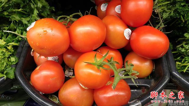 LG G4照相有多强？实拍样张过程告诉你