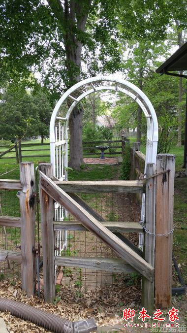 LG G4照相有多强？实拍样张过程告诉你