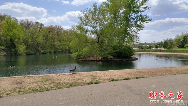 LG G4照相有多强？实拍样张过程告诉你