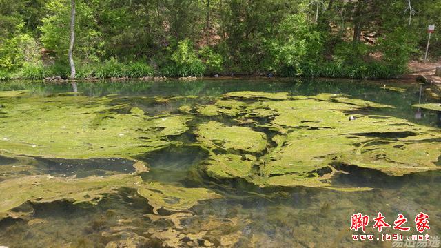 LG G4照相有多强？实拍样张过程告诉你