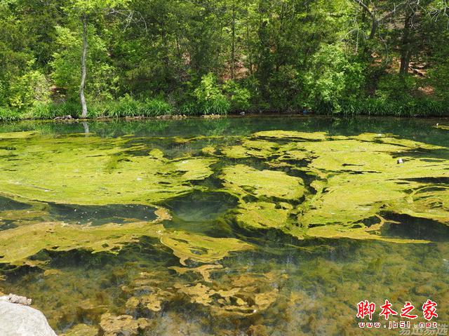 LG G4照相有多强？实拍样张过程告诉你