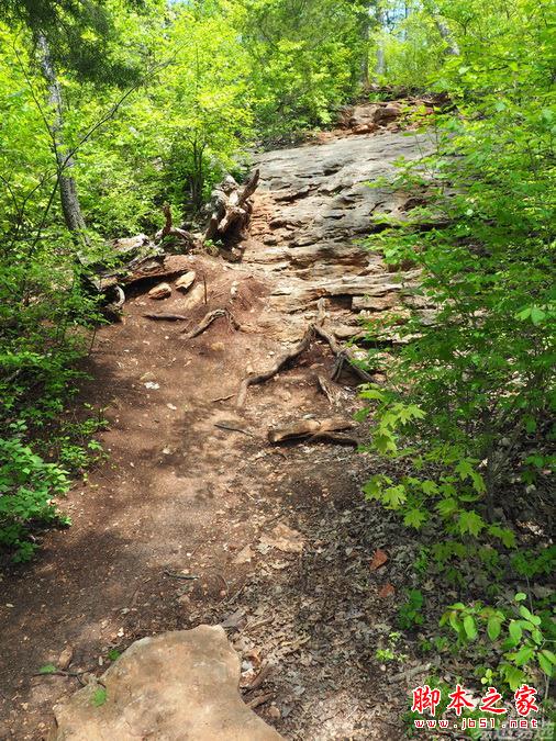 LG G4照相有多强？实拍样张过程告诉你