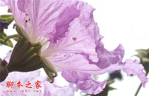 Z9长期体验:无边框非唯一亮点