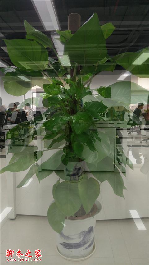 Z9长期体验:无边框非唯一亮点