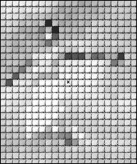 coreldraw编织效果 微粒效果 脚本之家 CorelDraw使用技巧教程