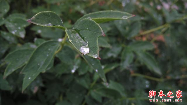 可能是今年最OK的千元机——小米4i初体验