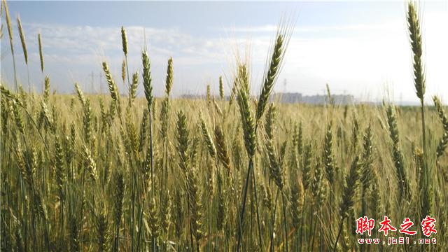 可能是今年最OK的千元机——小米4i初体验