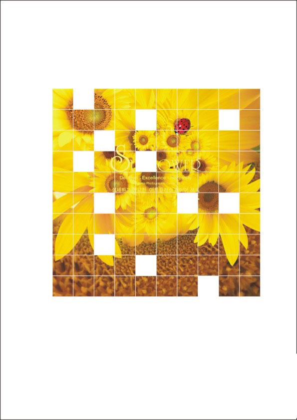 cdr任意拆分图片或矢量图形 脚本之家 cdr使用技巧