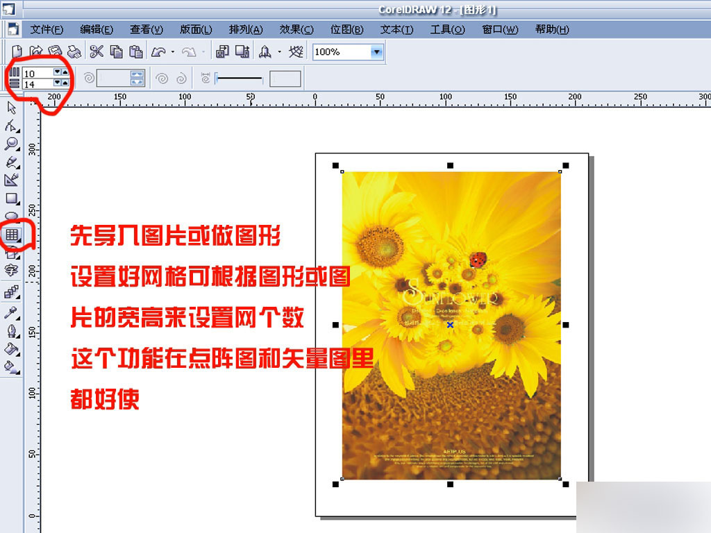 cdr任意拆分图片或矢量图形 脚本之家 cdr使用技巧