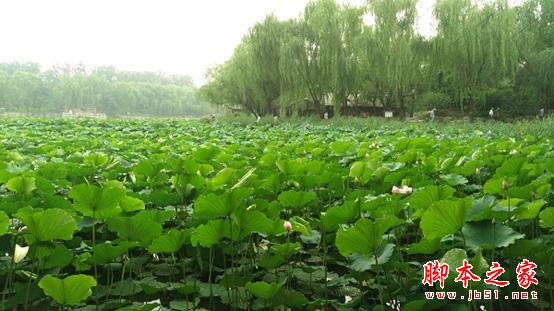 手机中的单反？努比亚Z9 MINI评测体验