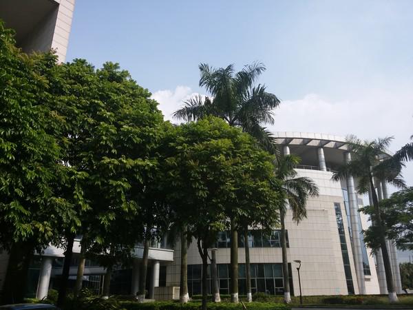 中端但不一定代表中庸!三星Galaxy A8评测