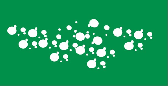 CDR制作质感水晶球 脚本之家 CorelDraw实例教程