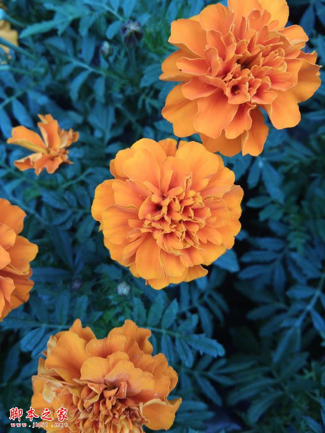 爱之初体验-乐视超级手机1评测体验