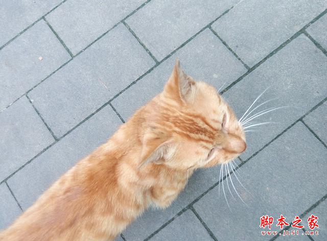 理性对待抢购，魅蓝note2体验点评