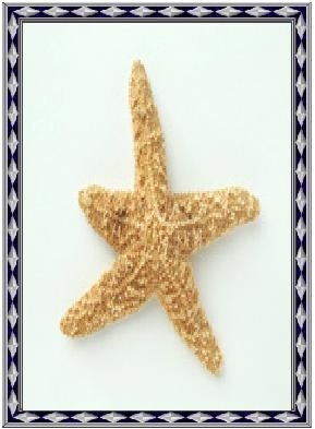 CorelDRAW 制作珍珠字 脚本之家 CDR教程