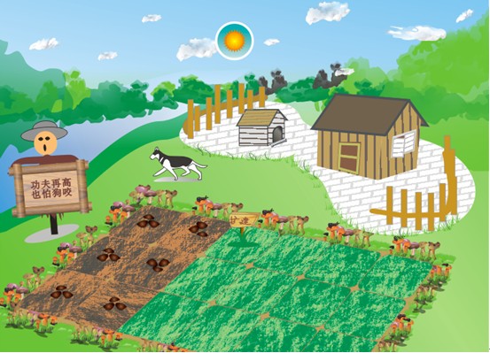 CDR绘制QQ农场场景 脚本之家 CDR实例教程