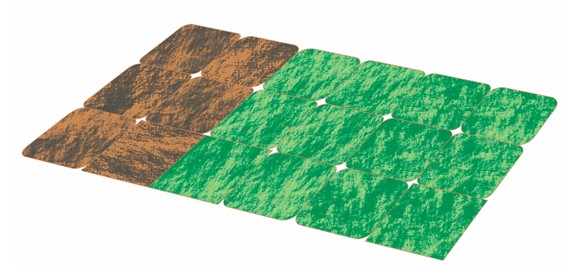 CDR绘制QQ农场场景 脚本之家 CDR实例教程