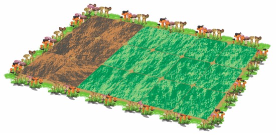 CDR绘制QQ农场场景 脚本之家 CDR实例教程