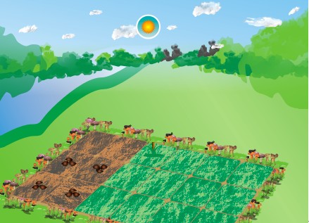 CDR绘制QQ农场场景 脚本之家 CDR实例教程